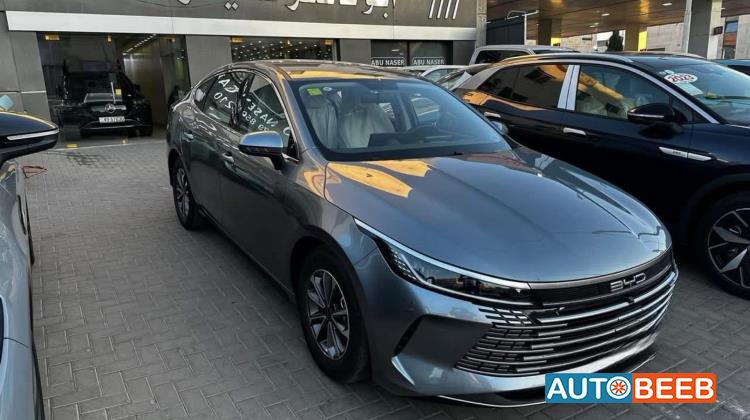 بي واي دي ديستروير 2025