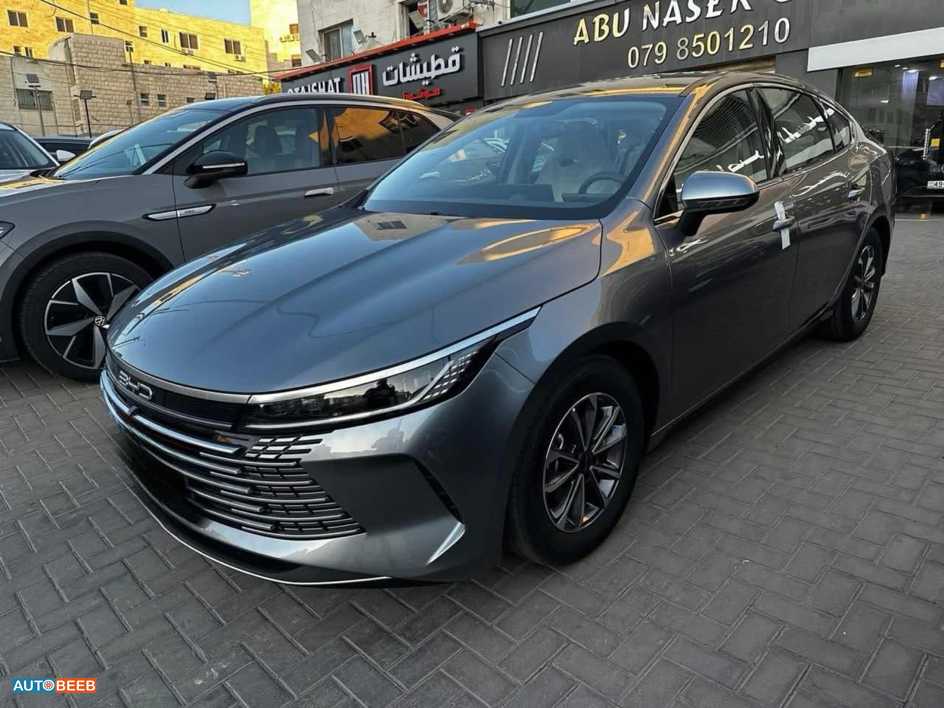 بي واي دي ديستروير 2025