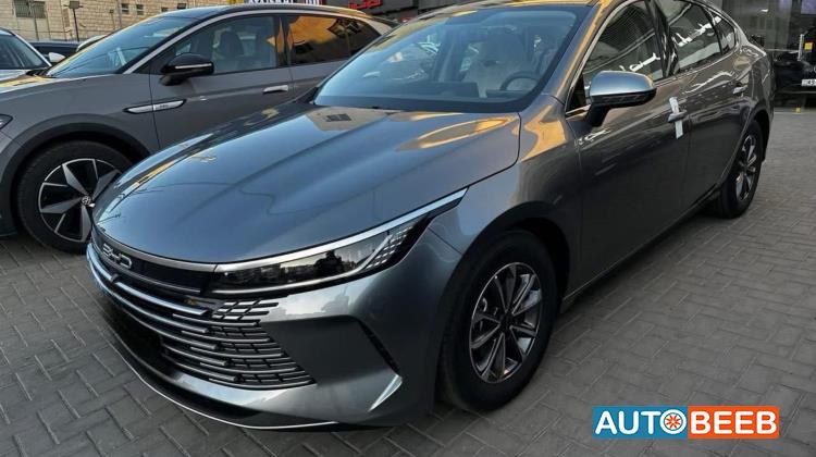 بي واي دي ديستروير 2025