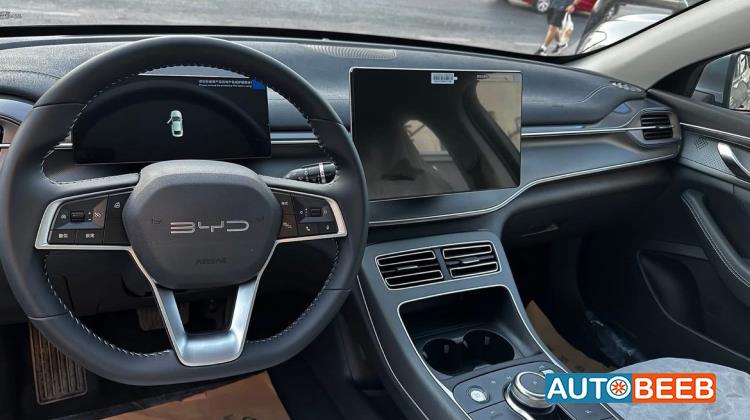 بي واي دي ديستروير 2025