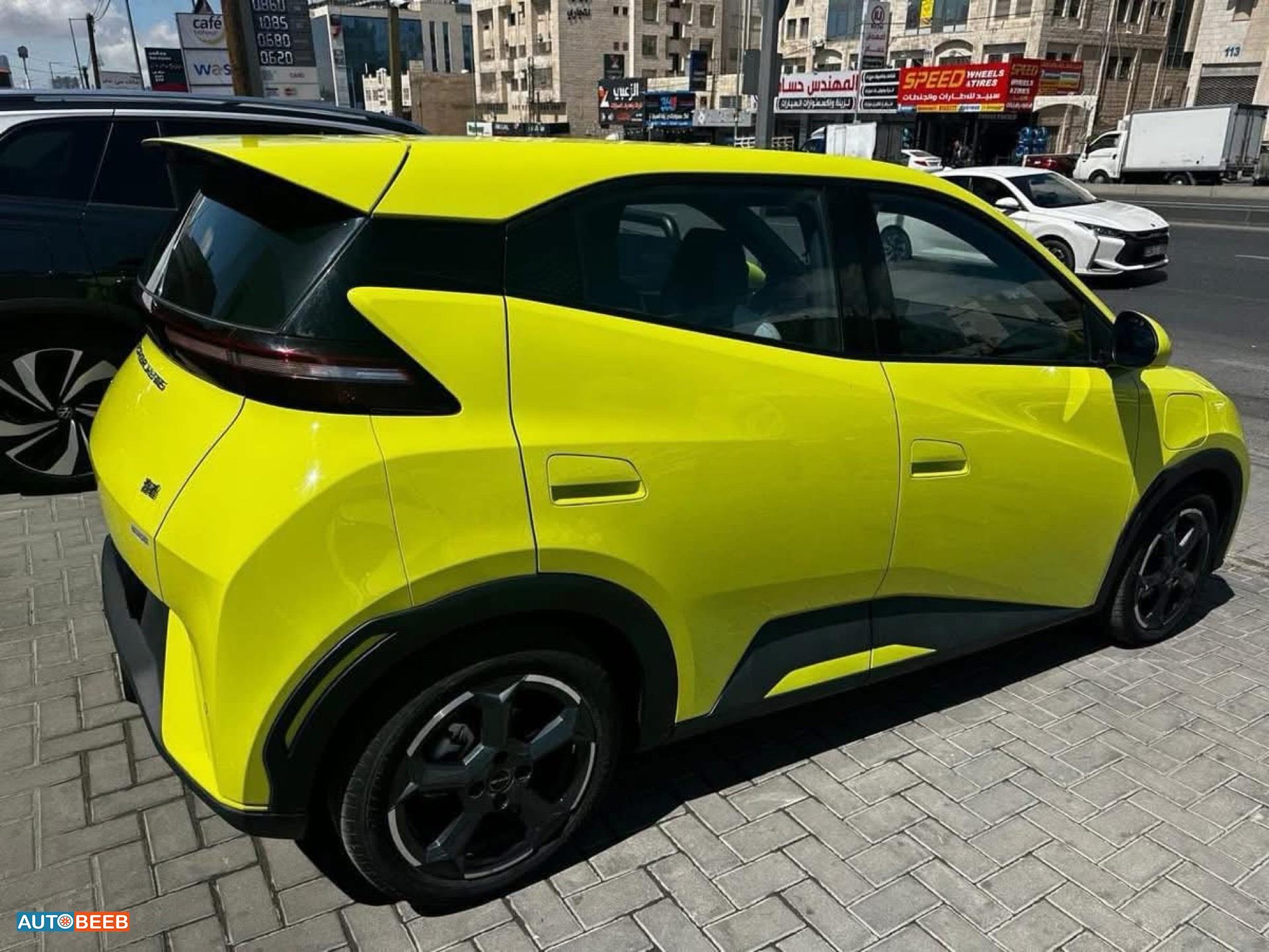 بي واي دي سيجول 2023