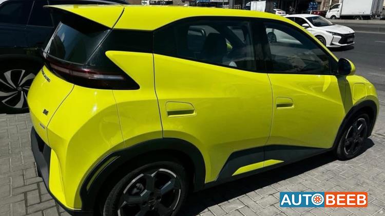 بي واي دي سيجول 2023