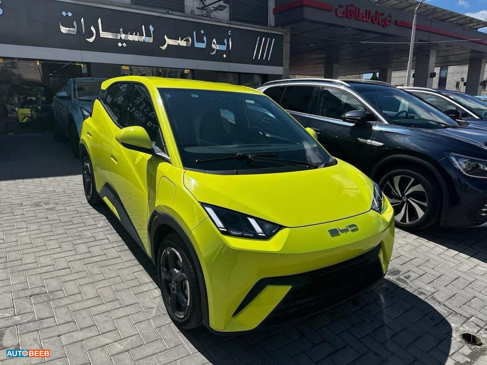 بي واي دي سيجول 2023