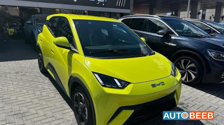 بي واي دي سيجول 2023