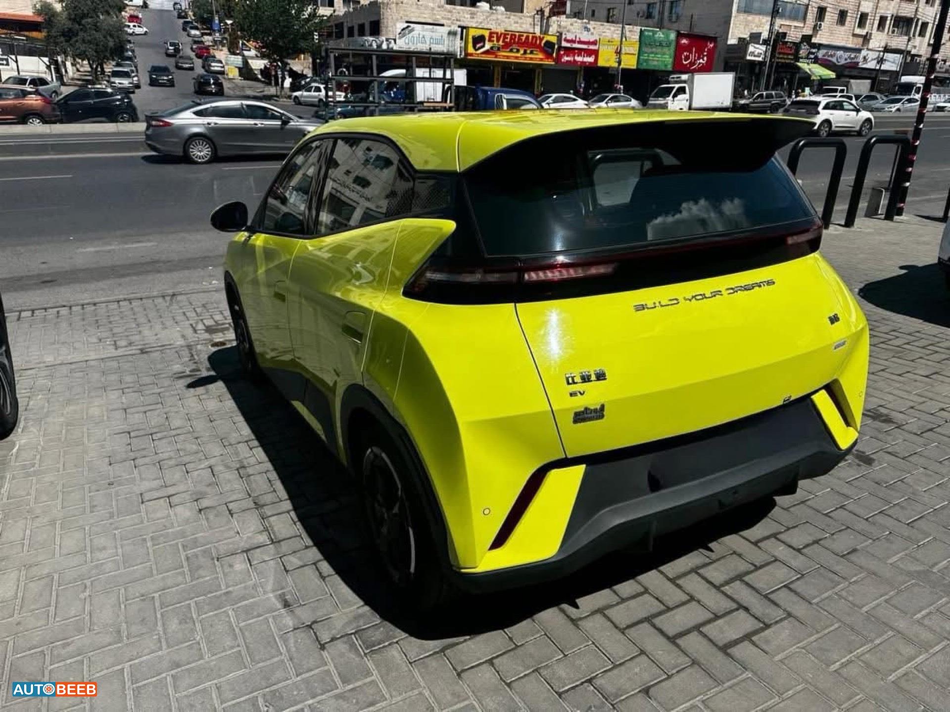 بي واي دي سيجول 2023