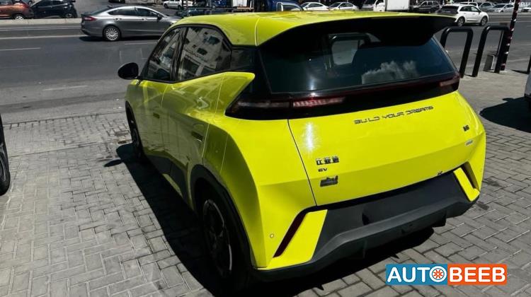 بي واي دي سيجول 2023