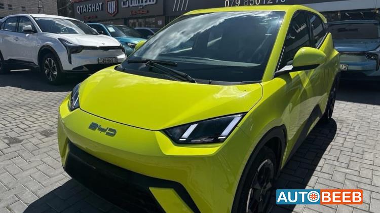 بي واي دي سيجول 2023