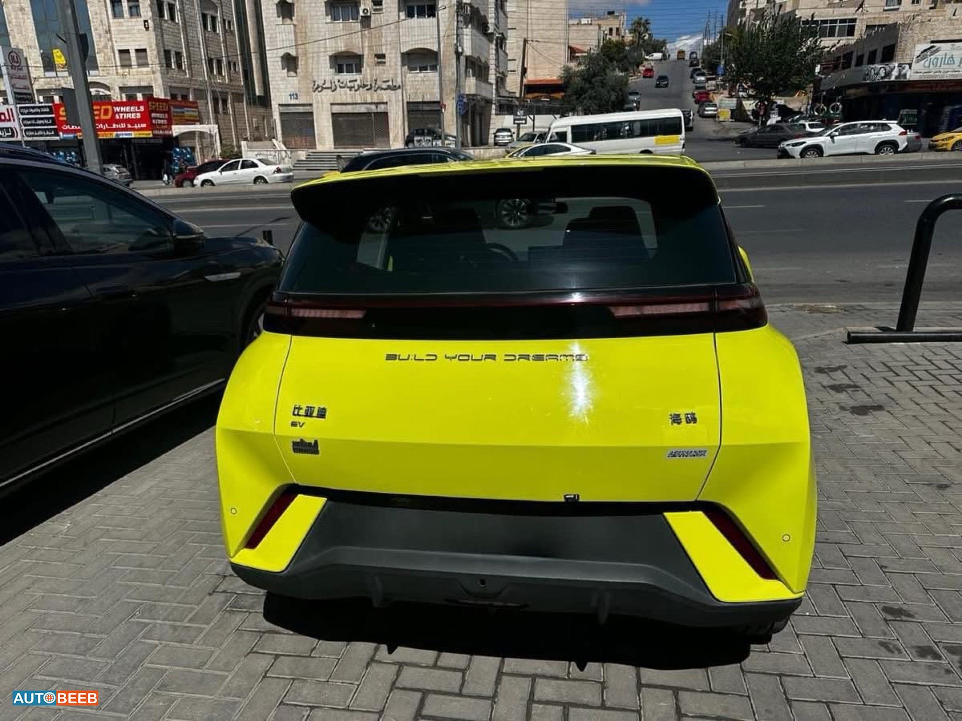 بي واي دي سيجول 2023