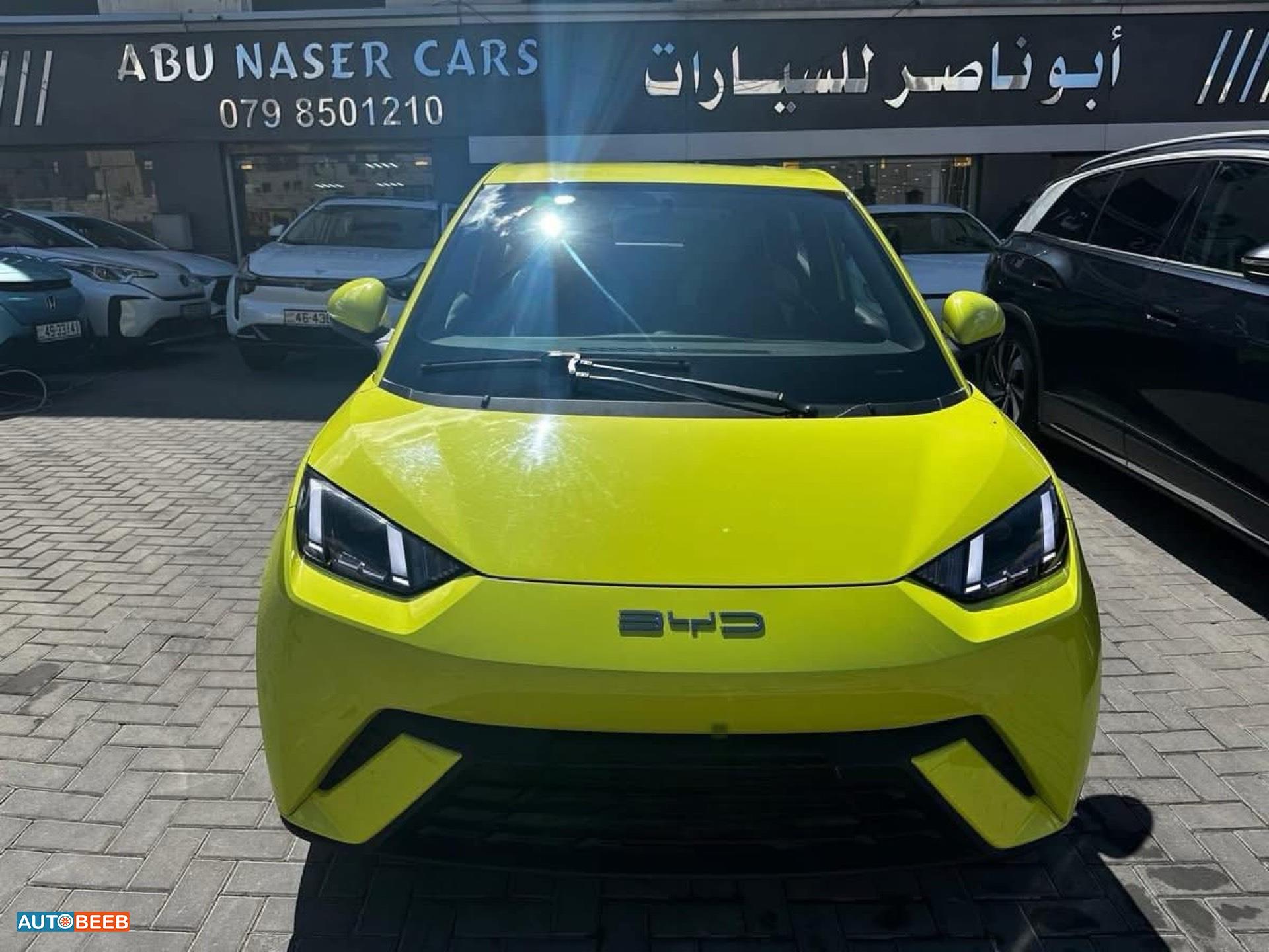 بي واي دي سيجول 2023