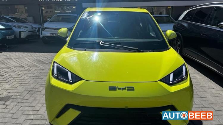 بي واي دي سيجول 2023