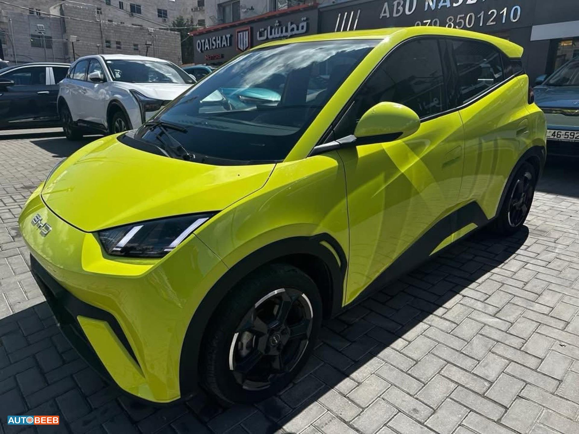 بي واي دي سيجول 2023