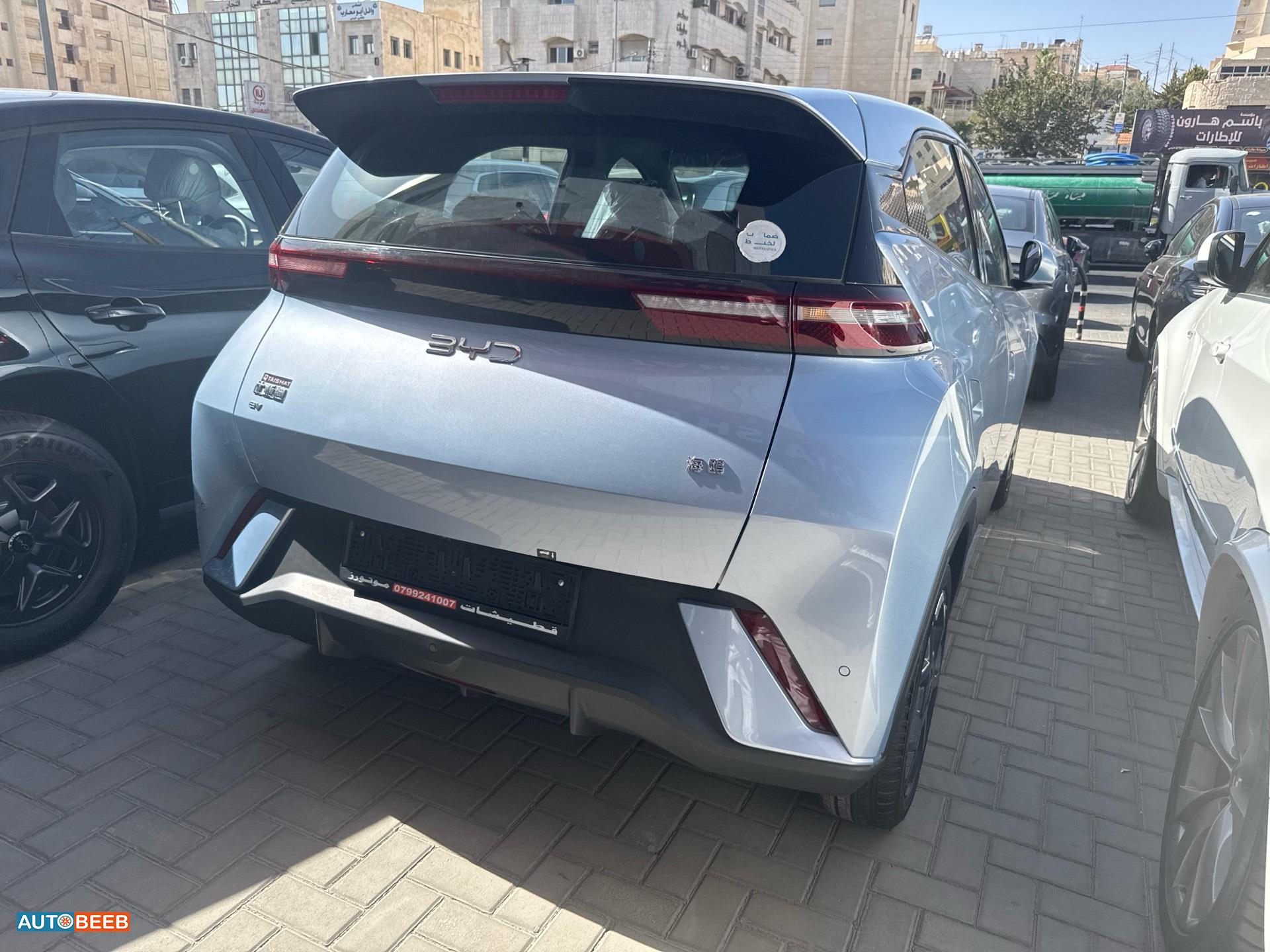 بي واي دي سيجول 2025