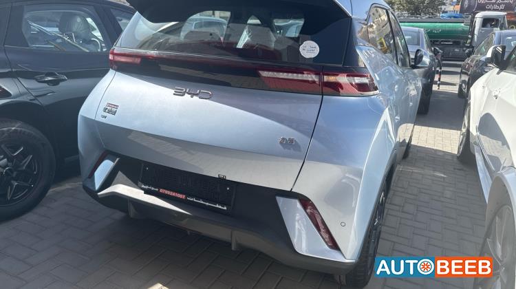 بي واي دي سيجول 2025