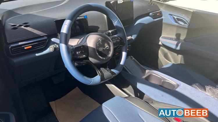 بي واي دي سيجول 2025