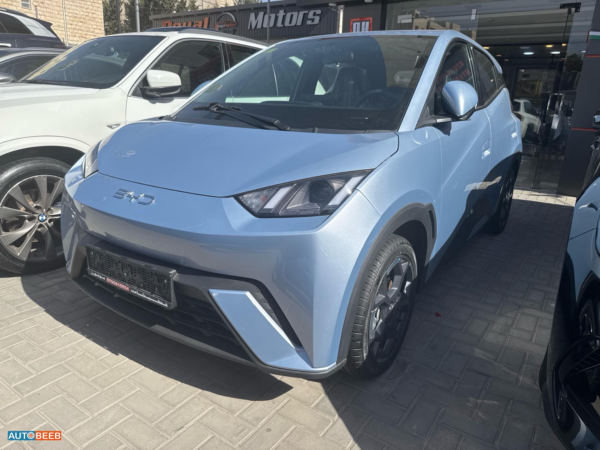 بي واي دي سيجول 2025