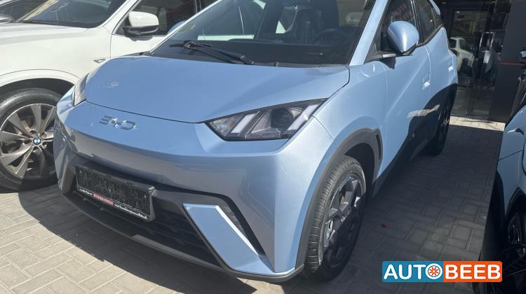 بي واي دي سيجول 2025