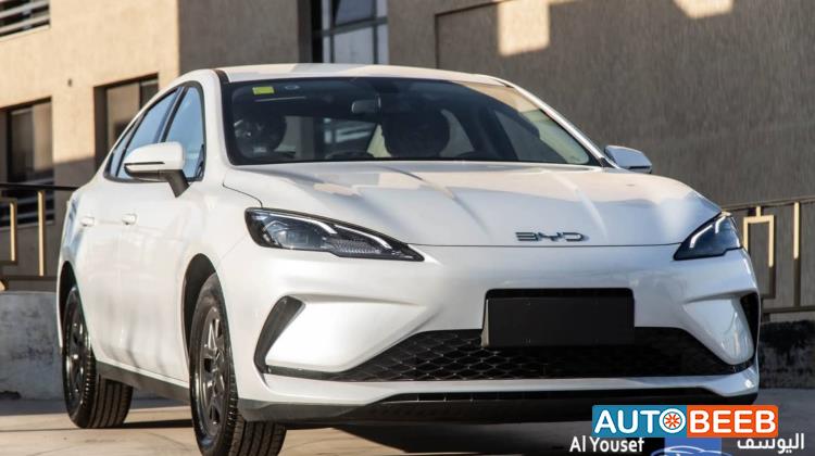 BYD  2025