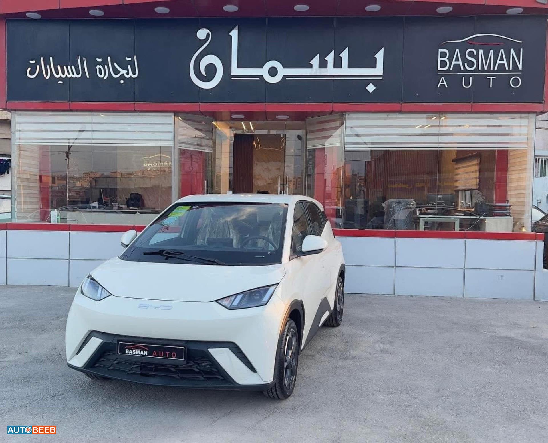 بي واي دي سيجول 2023