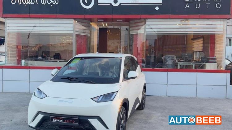 بي واي دي سيجول 2023