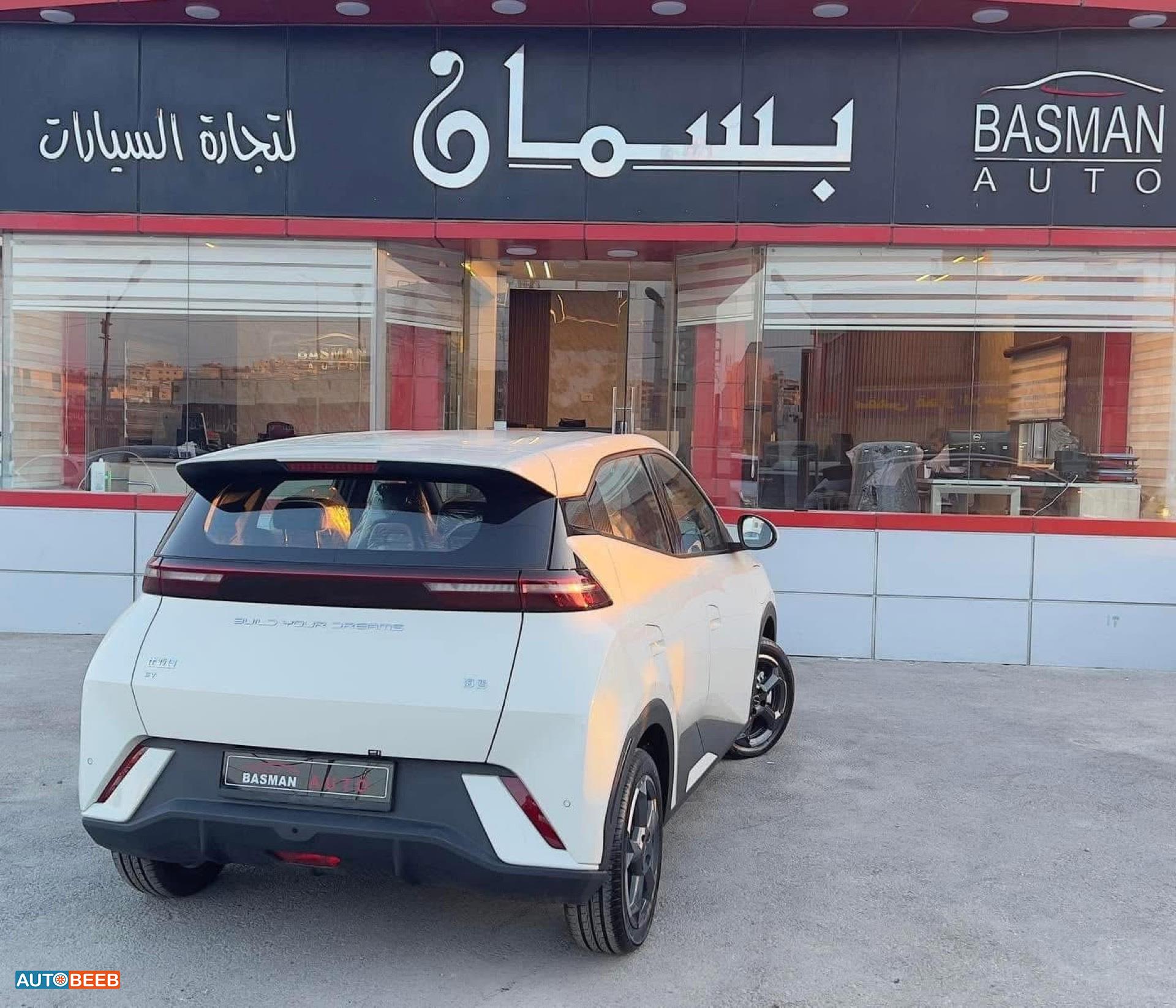 بي واي دي سيجول 2023