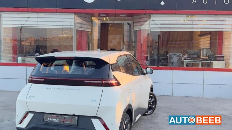 بي واي دي سيجول 2023