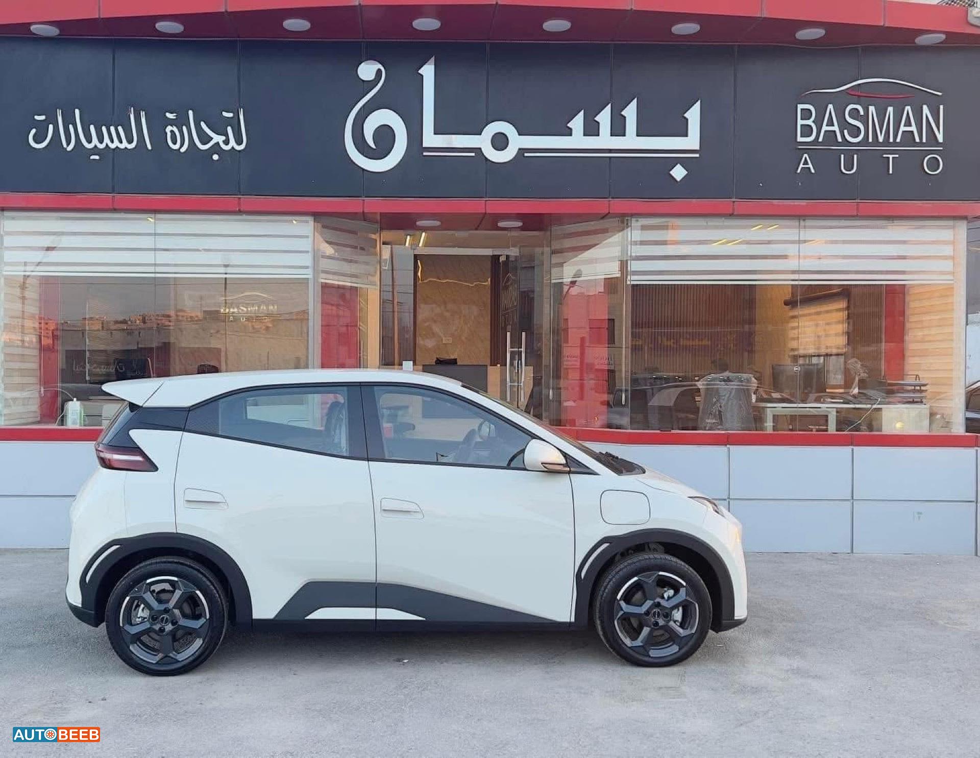 بي واي دي سيجول 2023