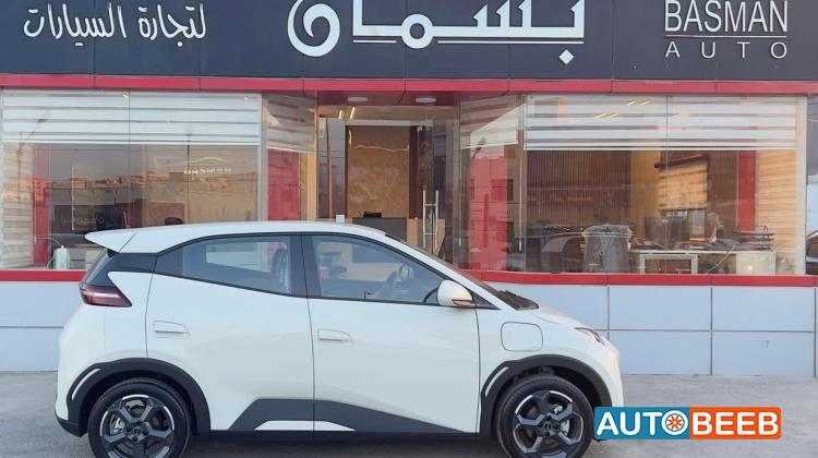 بي واي دي سيجول 2023