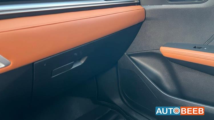 بي واي دي E2 2021