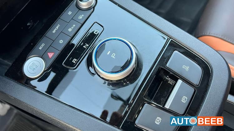 بي واي دي E2 2021