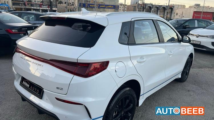 بي واي دي E2 2021