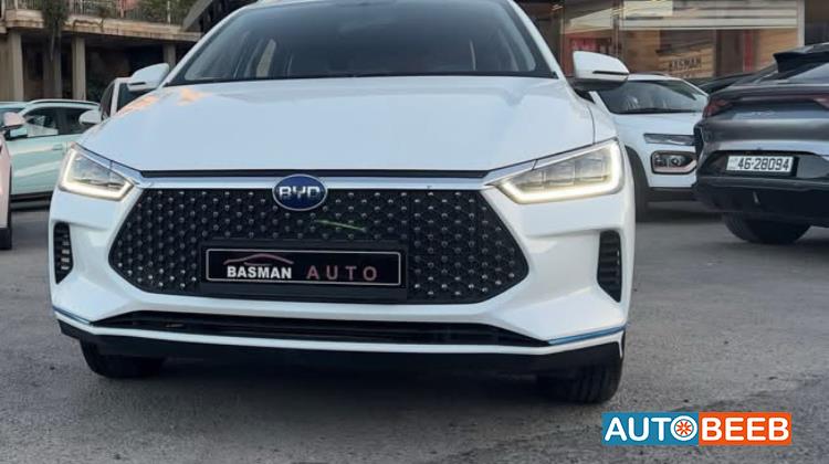 بي واي دي E2 2021