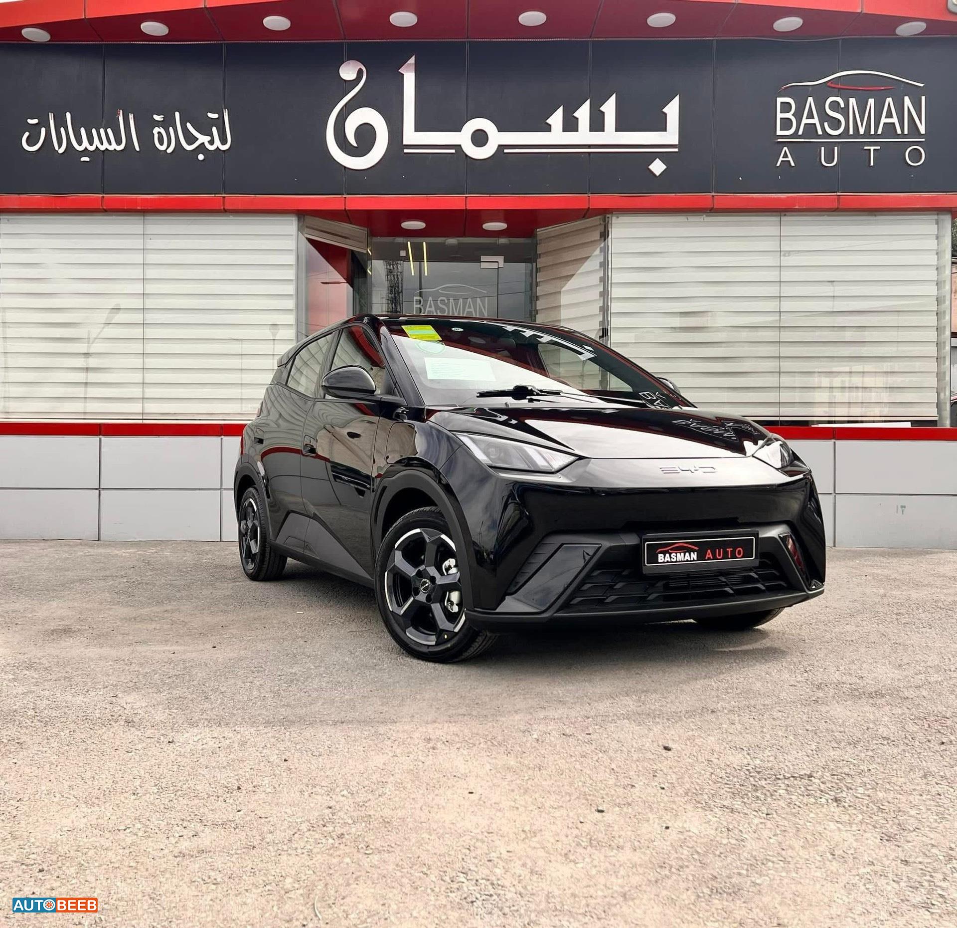 بي واي دي سيجول 2023