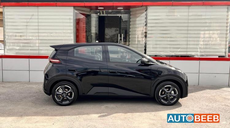 بي واي دي سيجول 2023