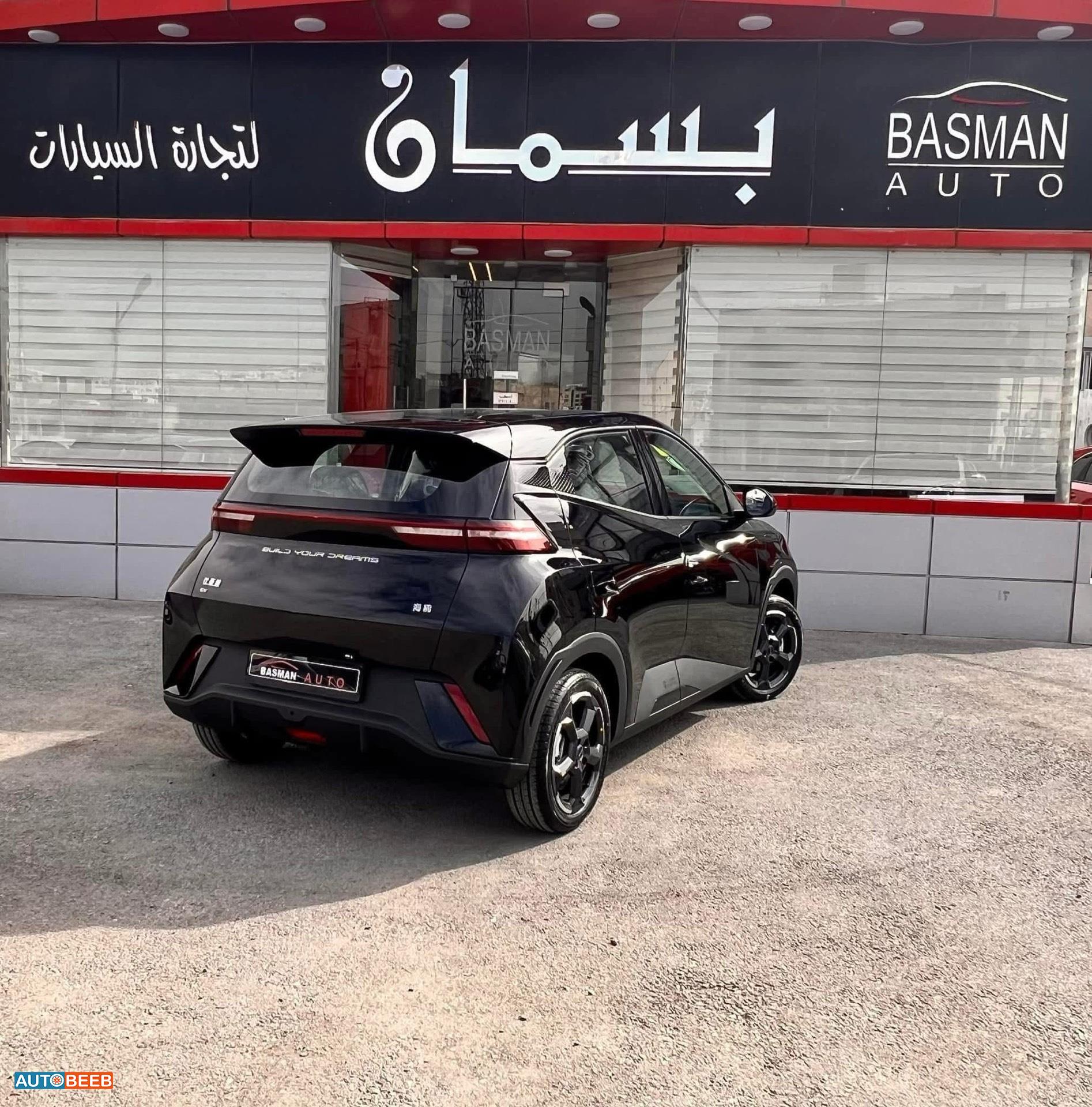 بي واي دي سيجول 2023