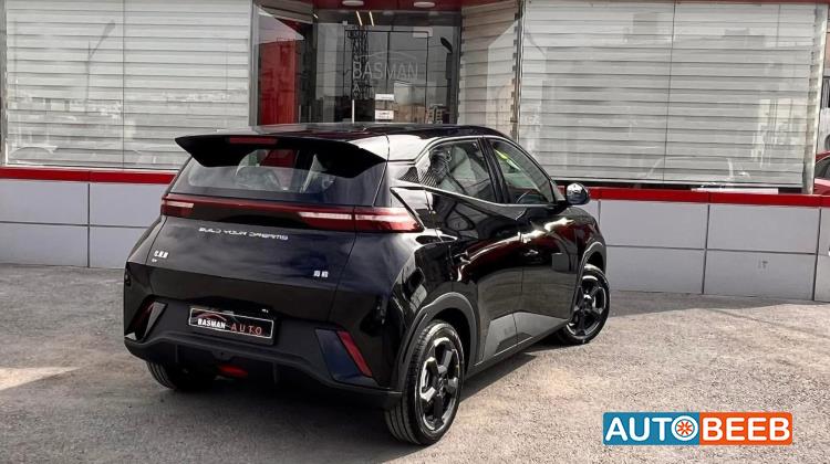 بي واي دي سيجول 2023