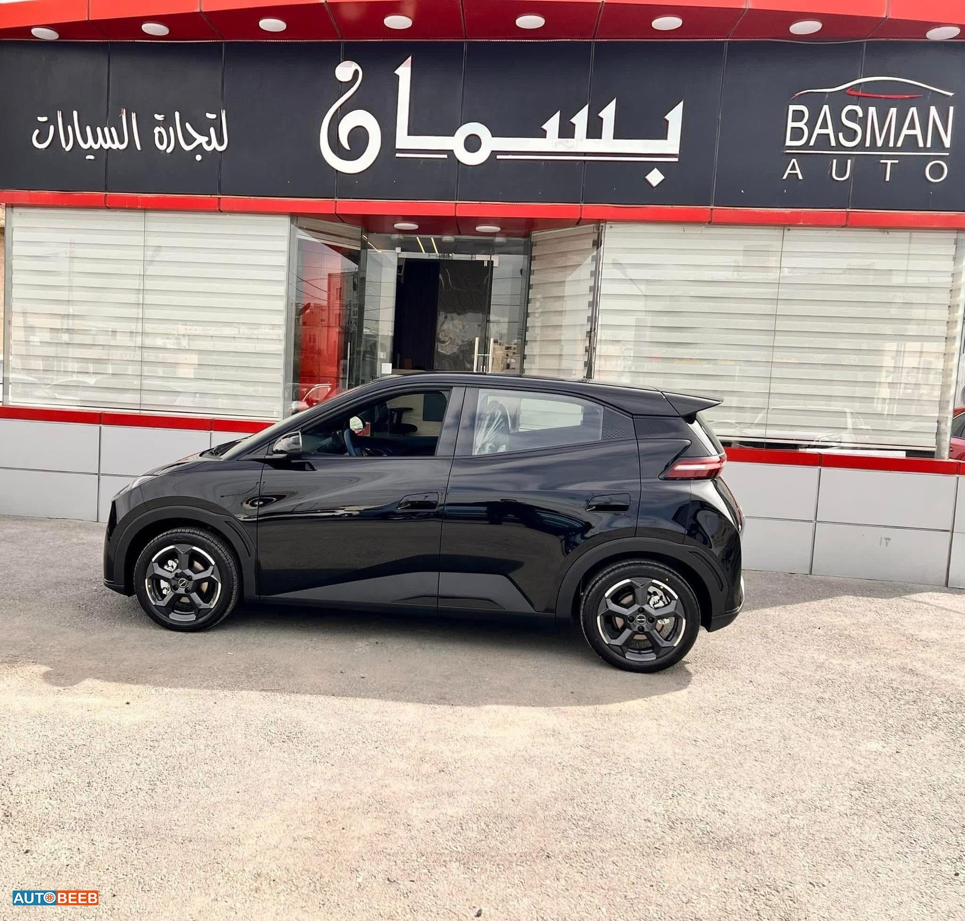 بي واي دي سيجول 2023