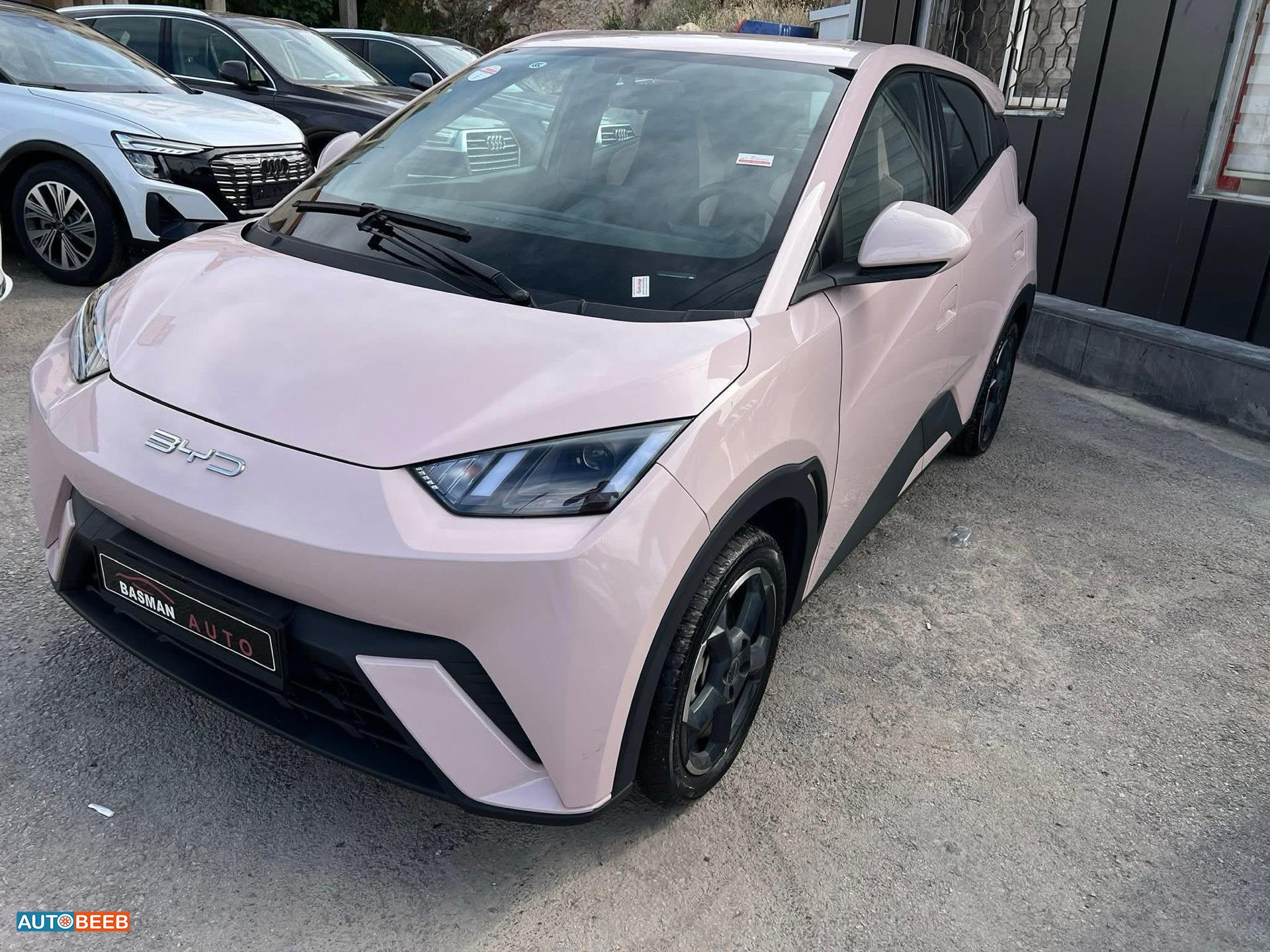 بي واي دي سيجول 2023