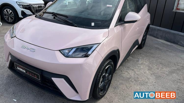 بي واي دي سيجول 2023