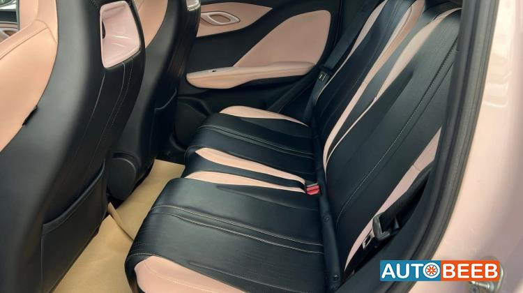 بي واي دي سيجول 2023