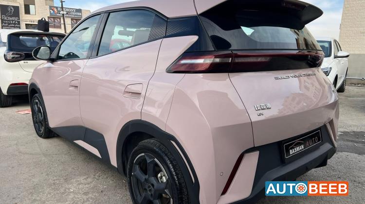 بي واي دي سيجول 2023