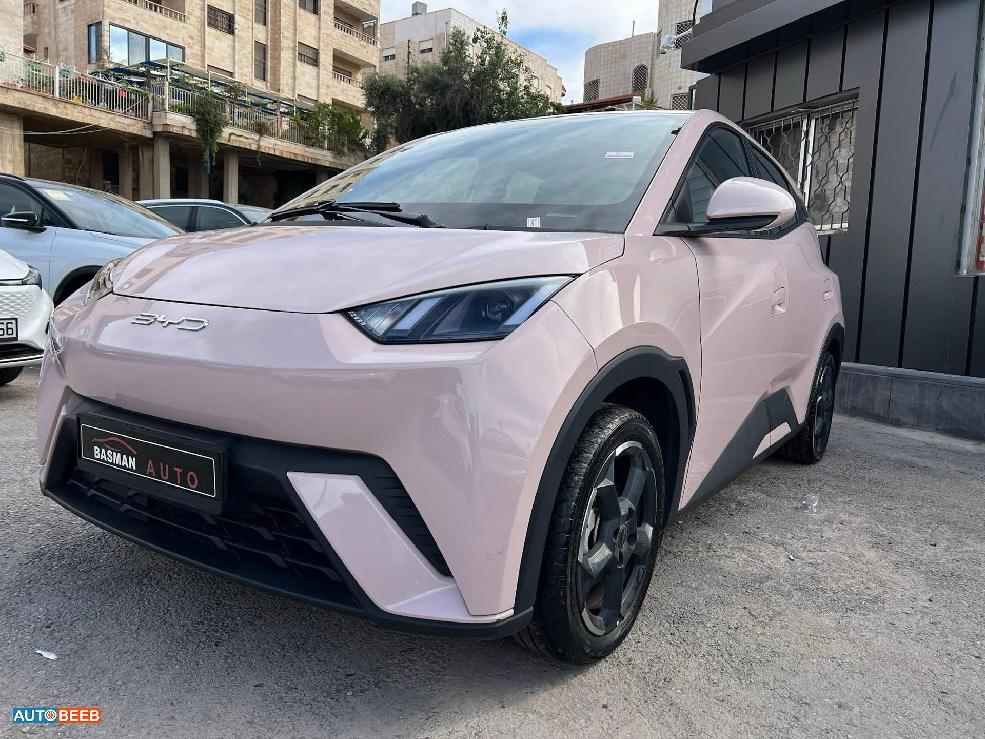 بي واي دي سيجول 2023