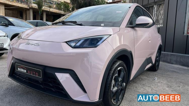 بي واي دي سيجول 2023