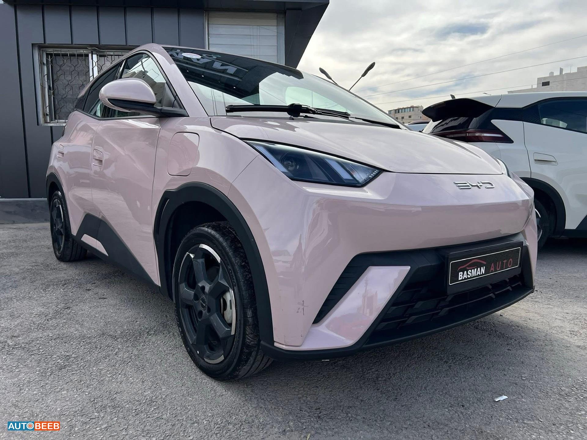 بي واي دي سيجول 2023