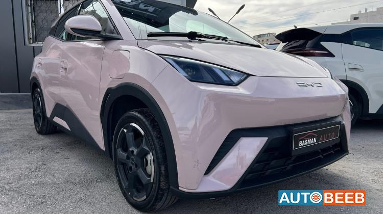 بي واي دي سيجول 2023