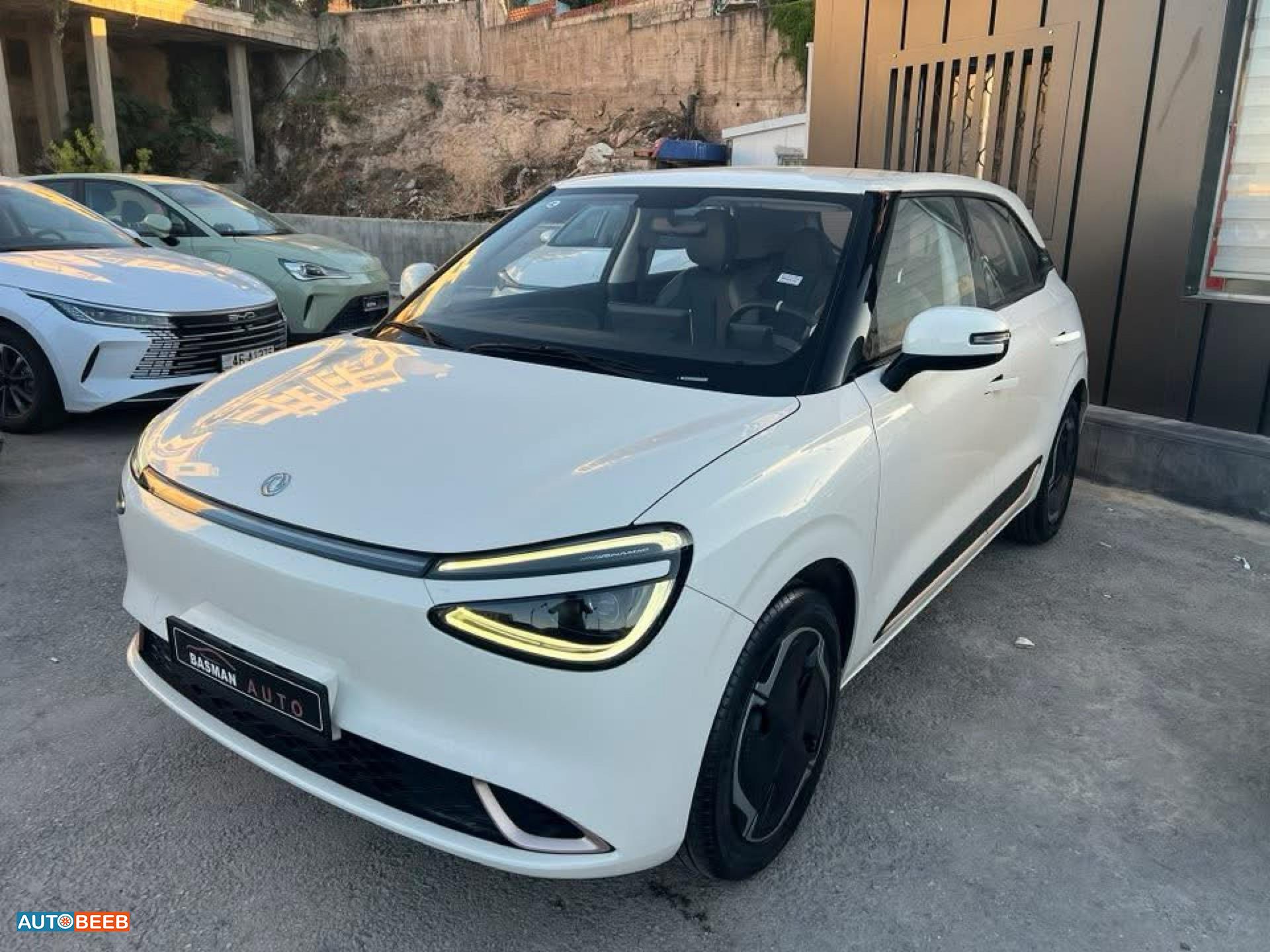Dongfeng Nammi Box 2023