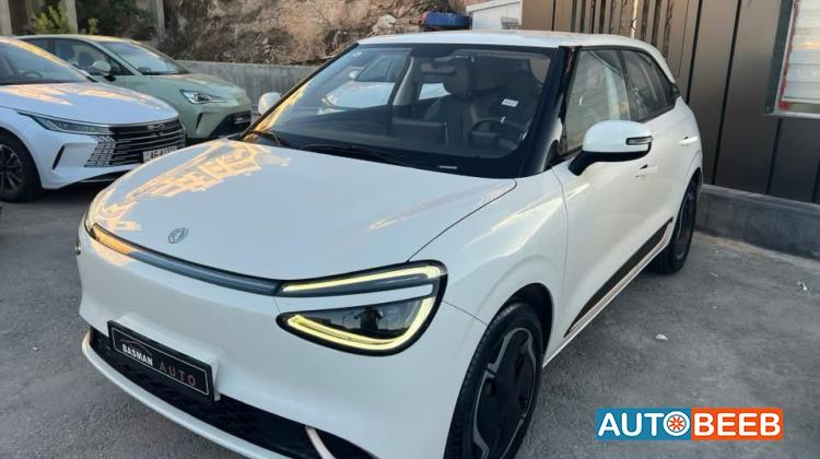 Dongfeng Nammi Box 2023