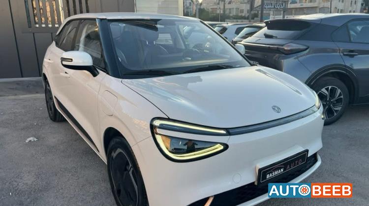 Dongfeng Nammi Box 2023