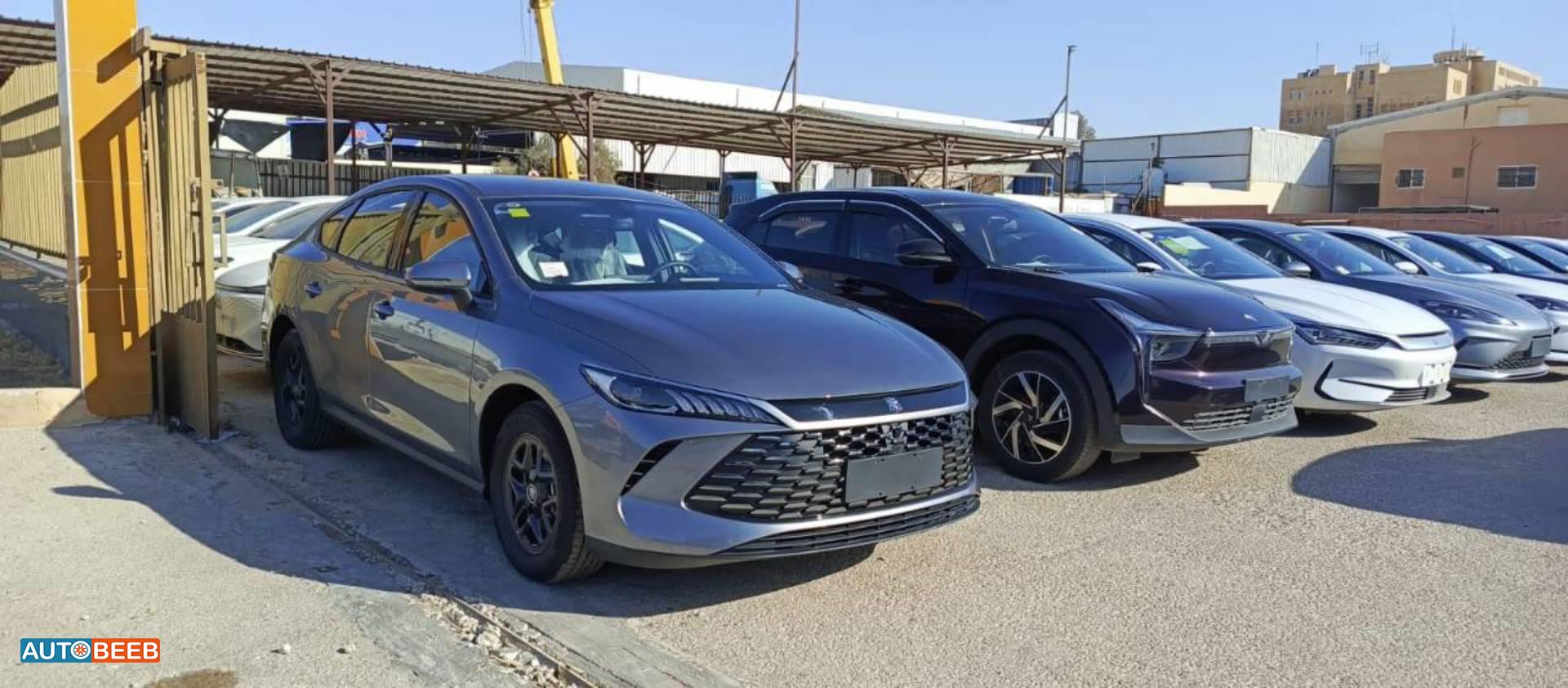 بي واي دي كين 2025