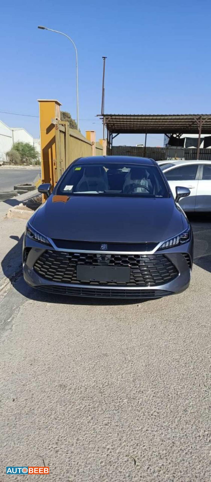 بي واي دي كين 2025