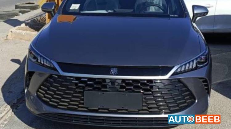 بي واي دي كين 2025